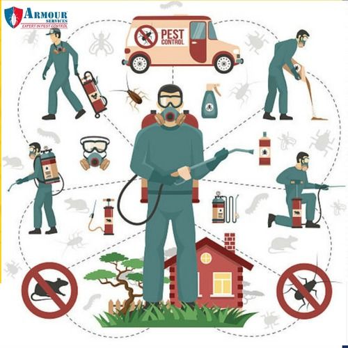 Indoor Pest Control Services By Armour Services