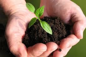 Reliable And Effective Bio Fertilizer Chemical