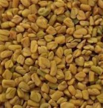 Best Price Fenugreek Seed