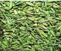 Best Price With High Quality Fennel Seed