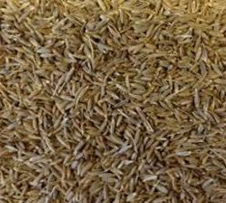 Impurities Free Cumin Seed