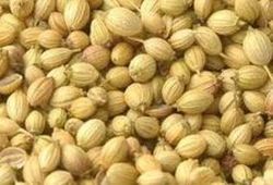 Quality Tested Coriander Seed