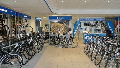 Starkenn cycles price online