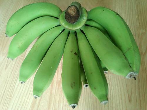 Common Fresh Cavendish Green Banana