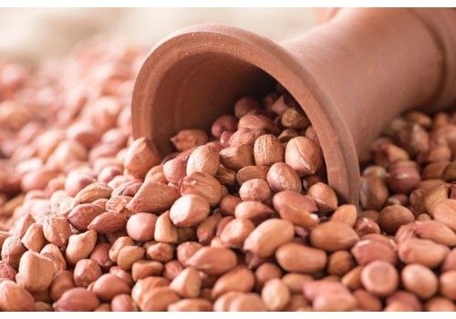 High Quality And Fresh Groundnuts
