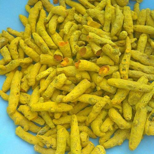 Best Quality Turmeric Fingers