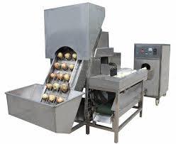 Dry Onion Peeling Machine