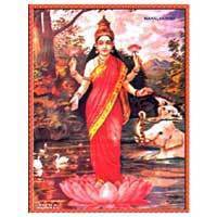 Lakshmi Mata Printed Sticker