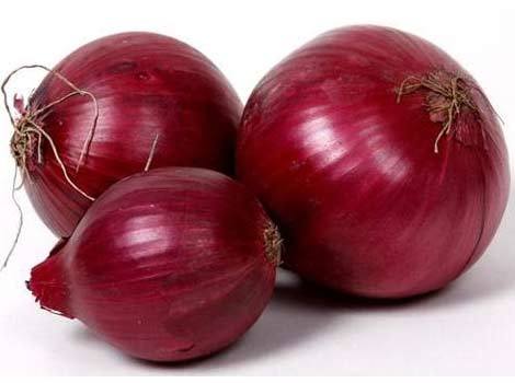 High Grade Fresh Onion