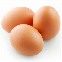 Hygienic Quality Brown Organic Eggs
