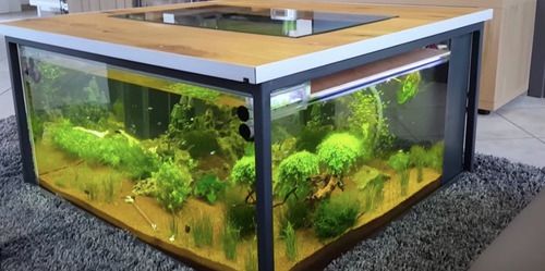 Beautiful Customized Table Aquarium