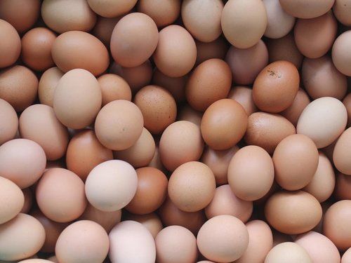 Desi Eggs for Household / Restaurant