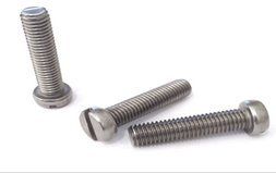 Cheese Phillips Head Self Tapping Screw
