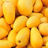 Fresh Mango