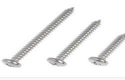 Round Phillips Head Self Tapping Screw