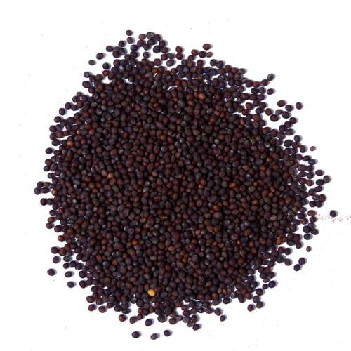 Natural and Pure Mustard Seeds