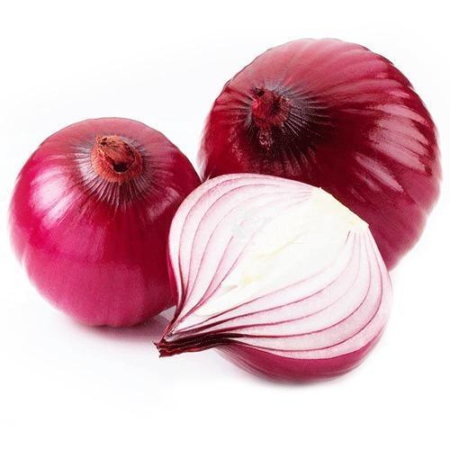 Best Edible Fresh Onion