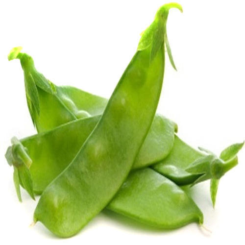 Broad Beans With Conventional Size Purity: 100 %