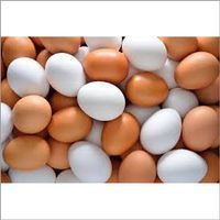 Fresh And Clean Packaging Poultry Eggs