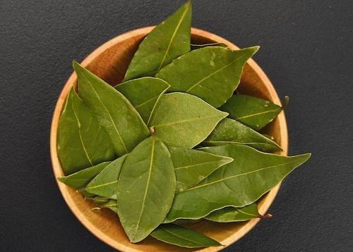 High Quality Bay Leaf