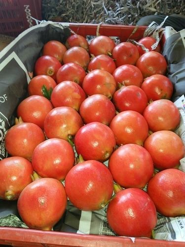 Organic Fresh Red Pomegranate