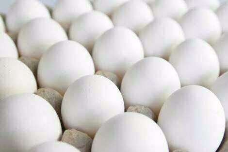 Poultry Fresh White Egg