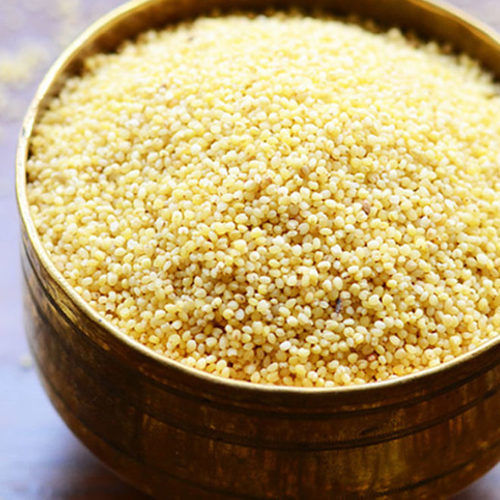 High Nutritional Foxtail Millet