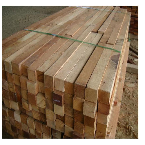 Durable Wood Sal Timber