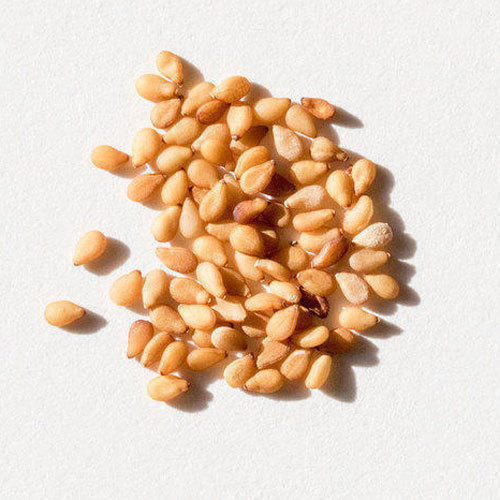 Fresh Non Organic Sesame Seed