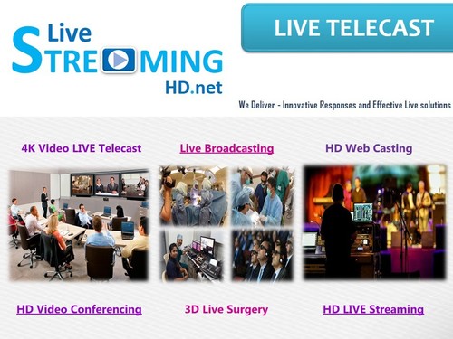 Live Streaming Video Conference Service By Yash Infosystems