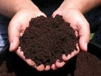 Organic Fertilizers For Fields Age Group: Adult