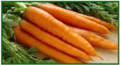 Fresh And Preserved Carrot
