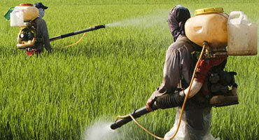 Agricultural Chemicals - High-Quality Processed Powder | Superior Quality Assurance, Trusted Vendor Sourced