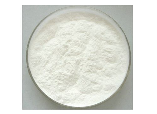 Sucralose Powder