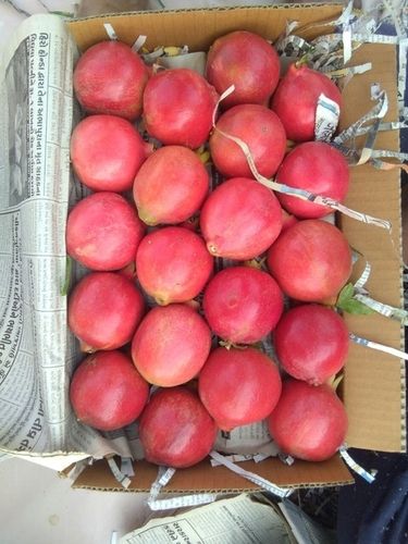 Organic Fresh Red Pomegranate