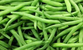 Stored Hygienically Green Beans