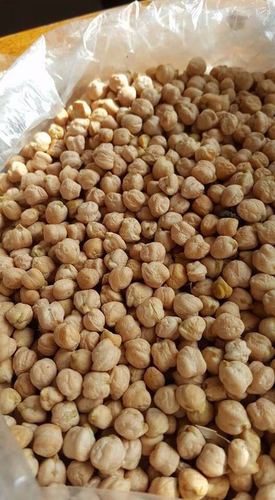 High Grade Desi Chickpeas