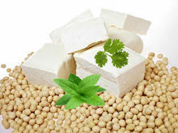 Precise Composition Soya Paneer