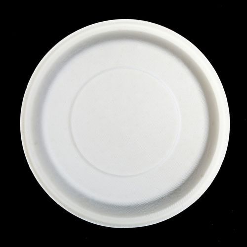 White Sugarcane Biodegradable Eco-Friendly Plain Plates