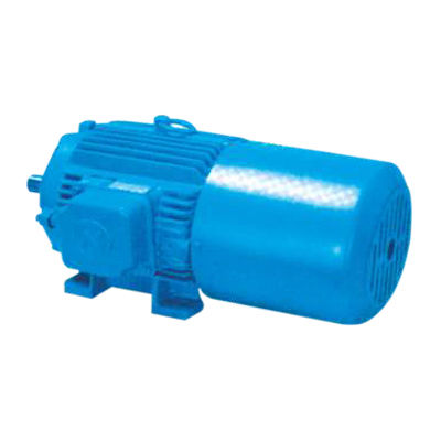 Brake Motors - Navjyot Electric Motors