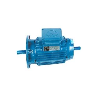 Car Elevator Motors - Navjyot Electric Motors (IE2/IE3)