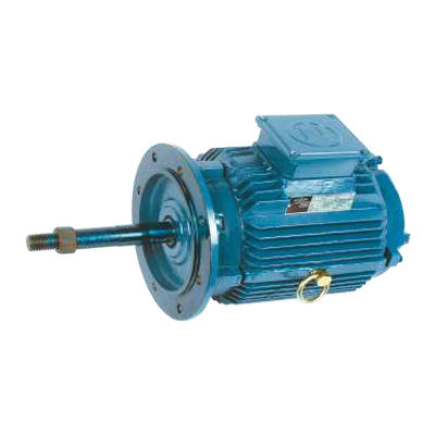 Cooling Tower Motors (IE2/IE3) 