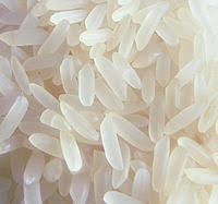 Fresh Raw White Rice