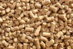 Hard Wood Charcoal Briquettes - 100% Wood Pellet Material, Diameter 6-8mm & 8-10mm, Length 20-40mm, <10% Moisture Content, High Calorific Value 3800-4200 Kcal/kg