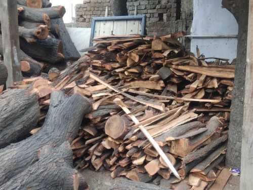 Dried Babool Fire Wood