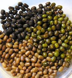 Organic Fresh Urad Dal