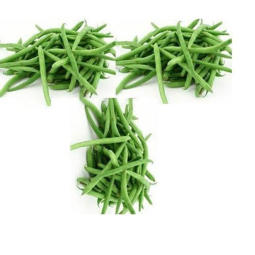 Best Affordable Price Green Beans