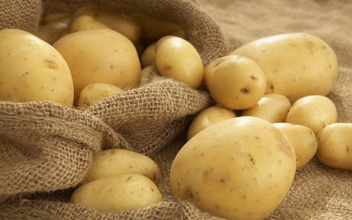 First-Rate Fresh Potato