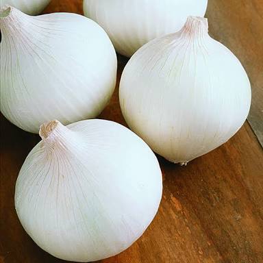 Fresh White Onion