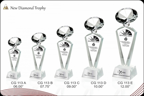 Fine Finish New Diamond Trophy